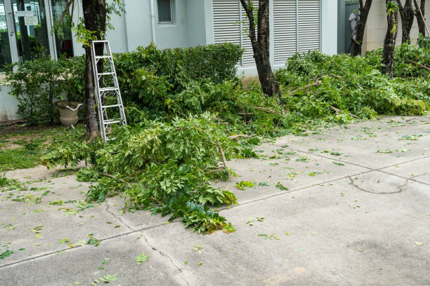 Best Tree Preservation Services  in Garwood, NJ